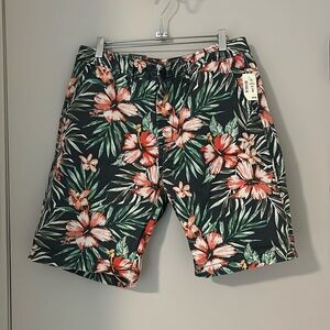 Aeropostale men flat front shorts, colorful and size 33 waist. New with tags.